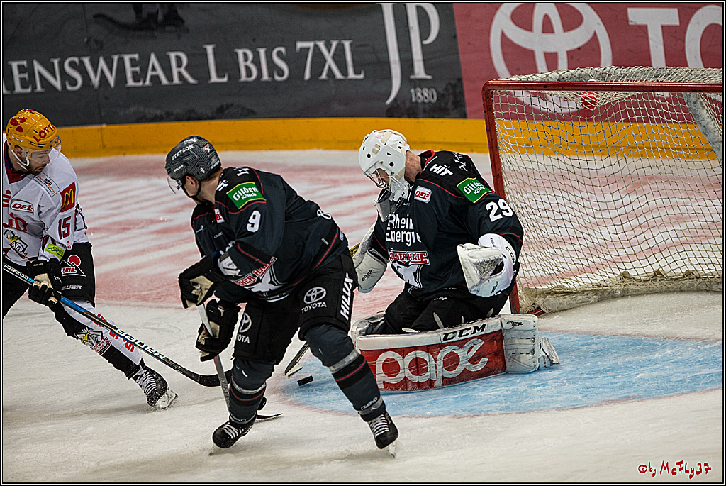 DEL, Koelner Haie - Fishtown Pinguins Bremerhaven, 29.01.2017